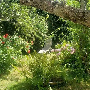 https://charmant-t2-dans-chalet-familial.fr-provencehotel.com